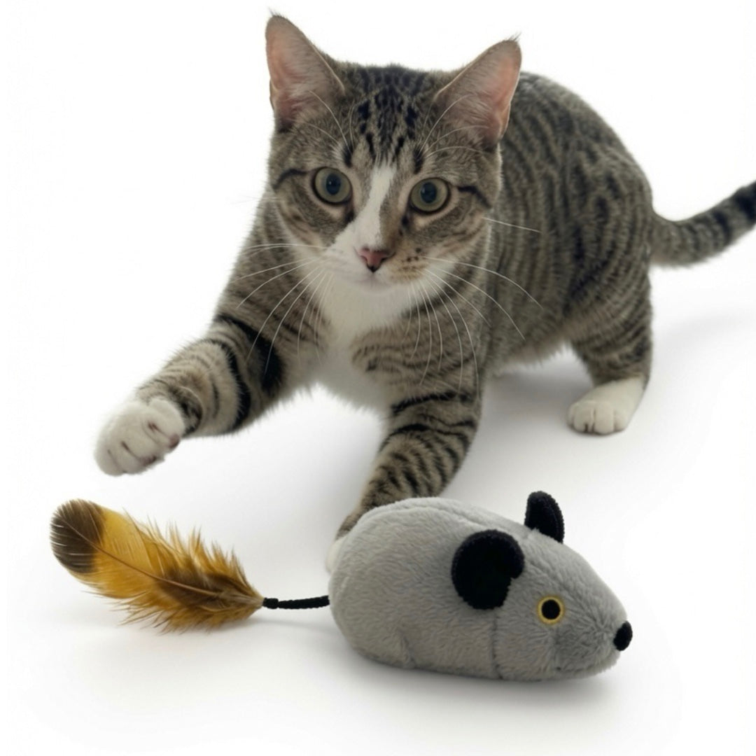 Ratón Interactivo Para Gatos